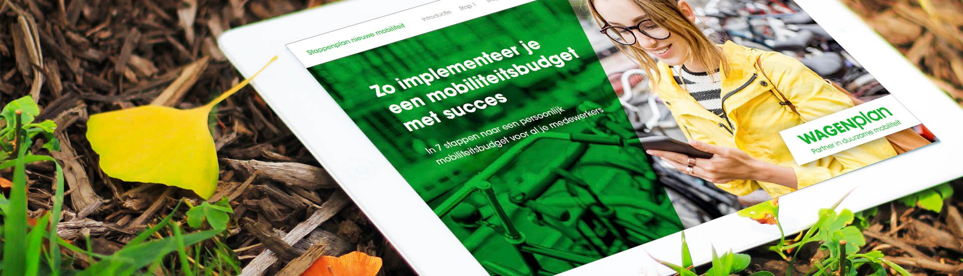 ebook-mobiliteitsbudget
